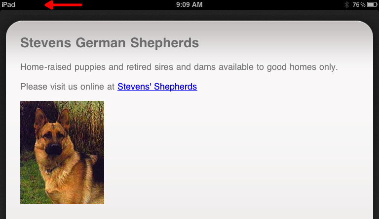 offline image in HTML snippet 2