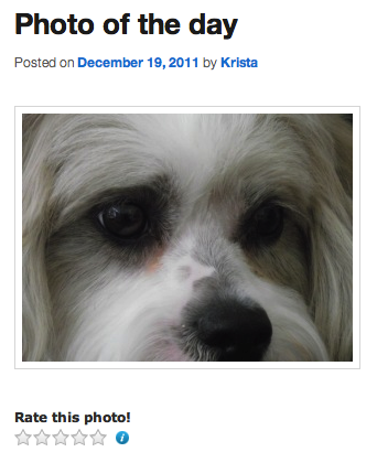 Rate this photo on site